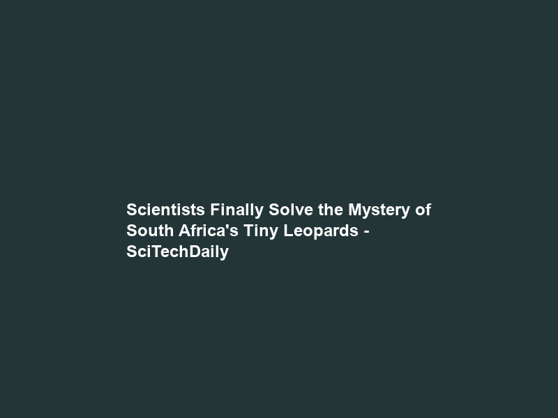 Scientists Finally Solve the Mystery of South Africa’s Tiny Leopards – SciTechDaily