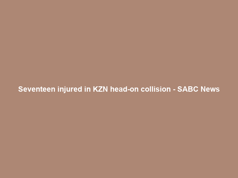 Seventeen injured in KZN head-on collision – SABC News