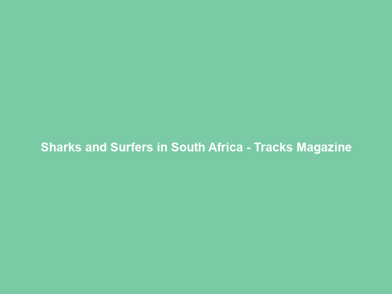 Sharks and Surfers in South Africa – Tracks Magazine