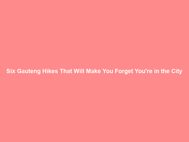 Six Gauteng Hikes That Will Make You Forget You’re in the City