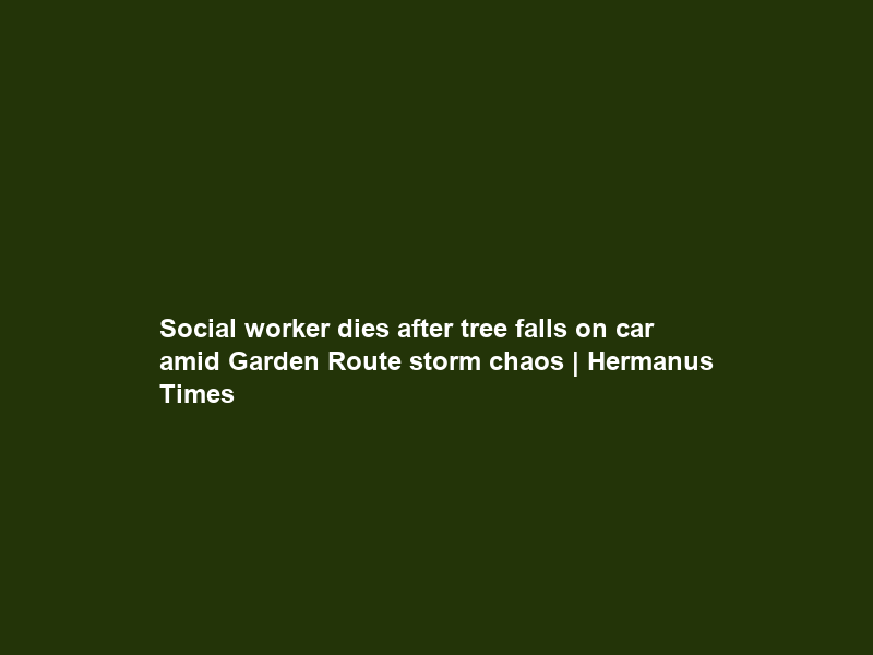 Social worker dies after tree falls on car amid Garden Route storm chaos | Hermanus Times