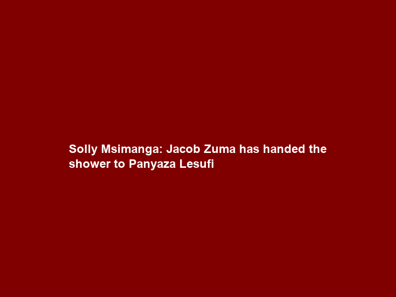 Solly Msimanga: Jacob Zuma has handed the shower to Panyaza Lesufi