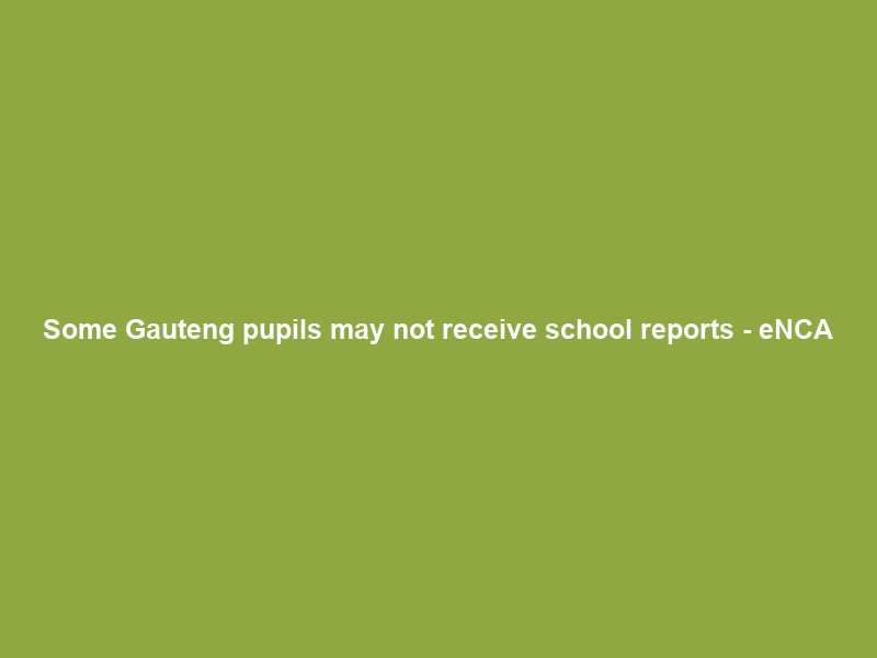 Some Gauteng pupils may not receive school reports – eNCA