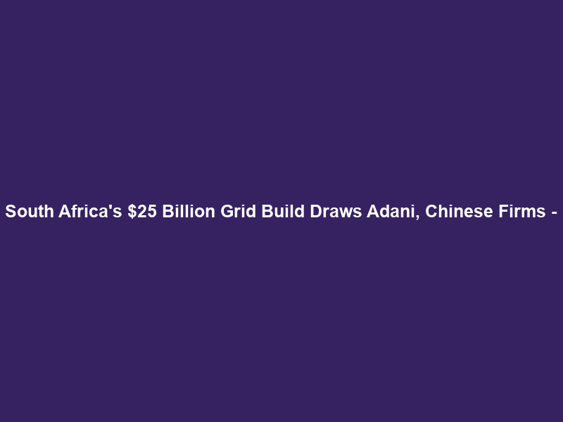 South Africa’s  Billion Grid Build Draws Adani, Chinese Firms –