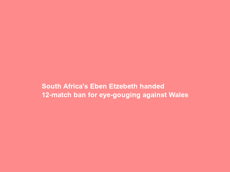 South Africa’s Eben Etzebeth handed 12-match ban for eye-gouging against Wales
