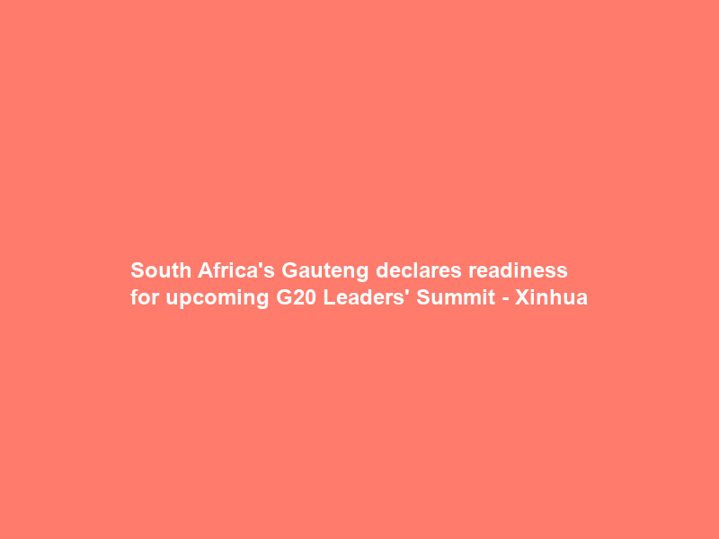 South Africa’s Gauteng declares readiness for upcoming G20 Leaders’ Summit – Xinhua