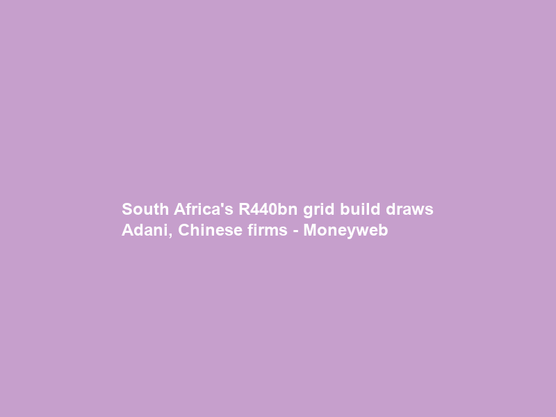 South Africa’s R440bn grid build draws Adani, Chinese firms – Moneyweb