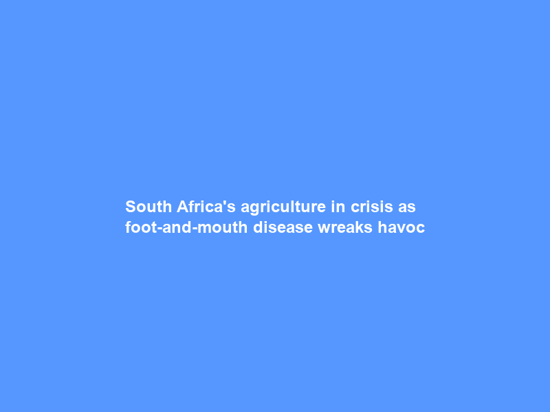 South Africa’s agriculture in crisis as foot-and-mouth disease wreaks havoc
