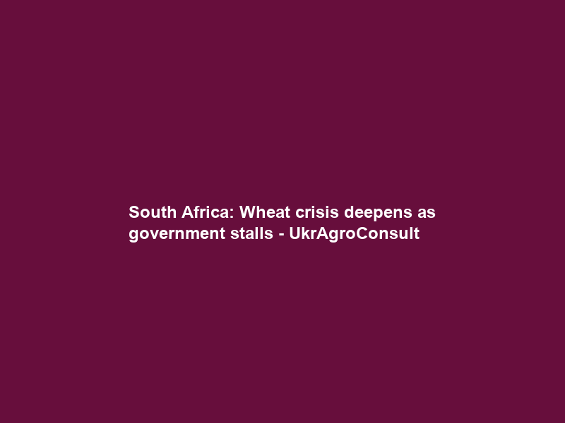 South Africa: Wheat crisis deepens as government stalls – UkrAgroConsult