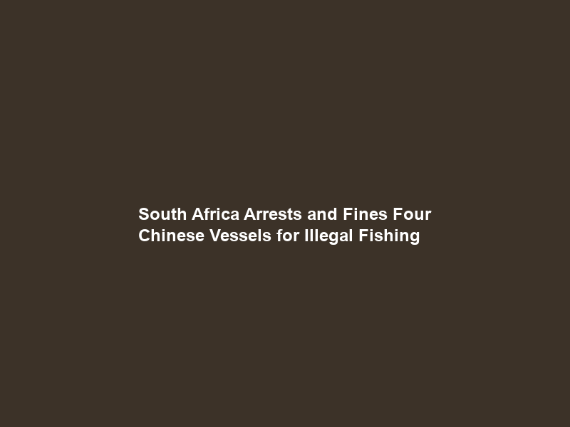 South Africa Arrests and Fines Four Chinese Vessels for Illegal Fishing