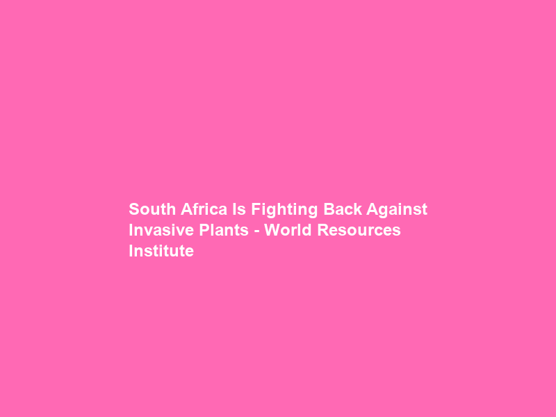 South Africa Is Fighting Back Against Invasive Plants – World Resources Institute