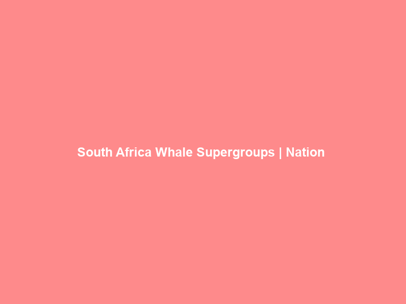 South Africa Whale Supergroups | Nation & World –