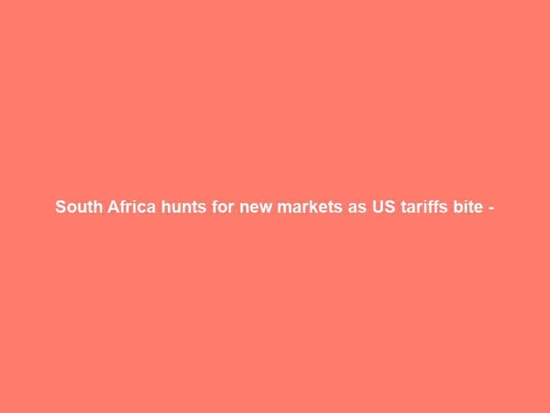 South Africa hunts for new markets as US tariffs bite –