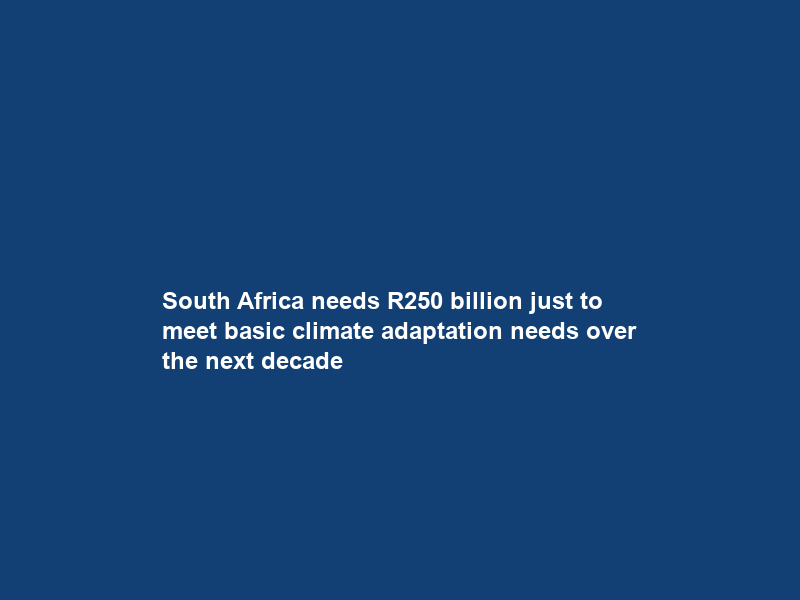 South Africa needs R250 billion just to meet basic climate adaptation needs over the next decade