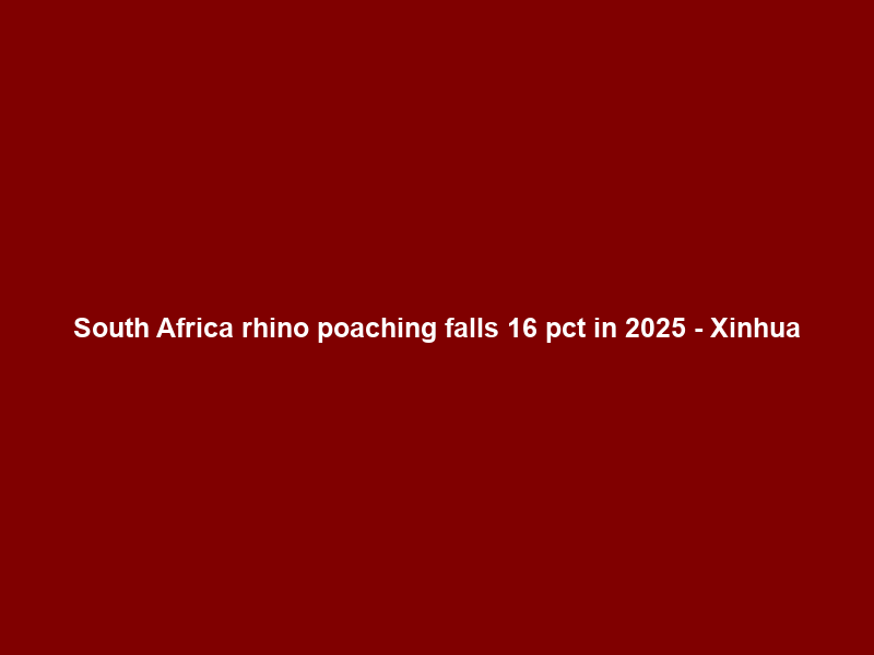 South Africa rhino poaching falls 16 pct in 2025 – Xinhua