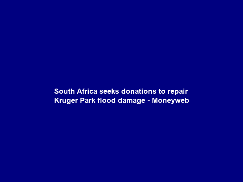 South Africa seeks donations to repair Kruger Park flood damage – Moneyweb