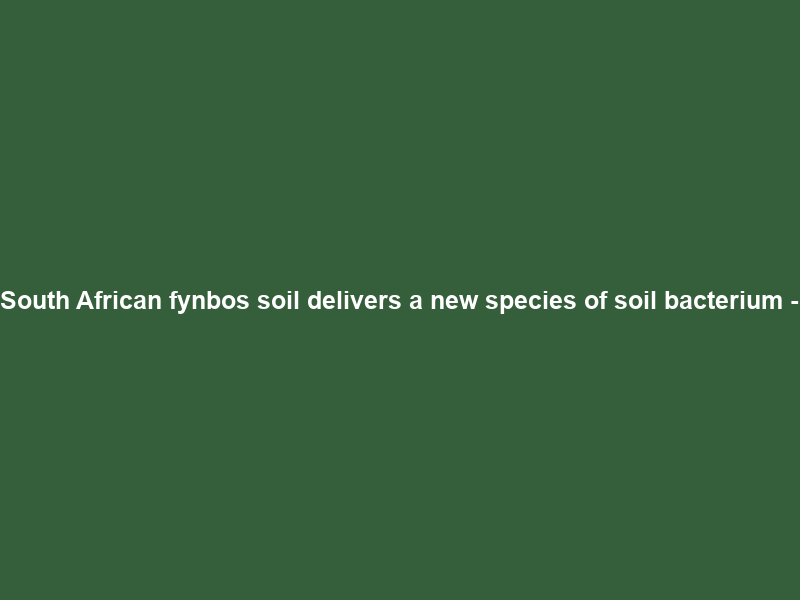South African fynbos soil delivers a new species of soil bacterium –