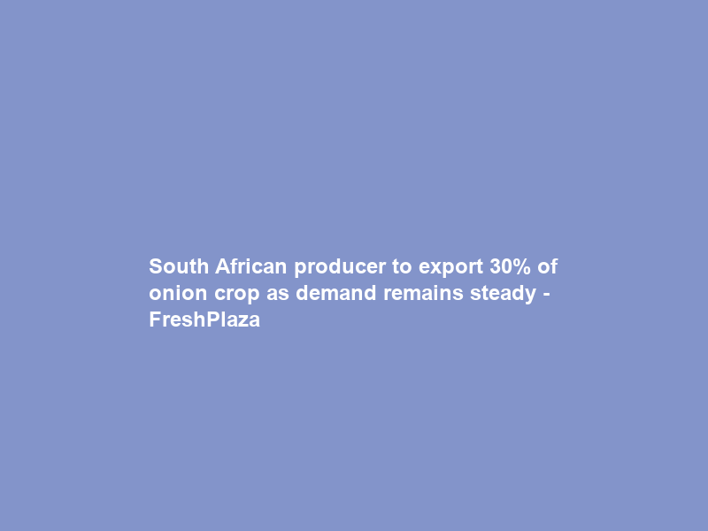 South African producer to export 30% of onion crop as demand remains steady – FreshPlaza