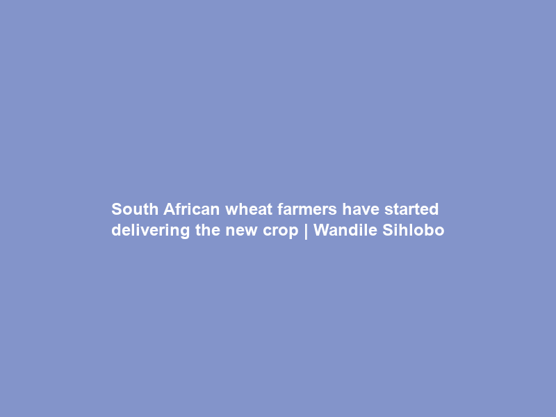 South African wheat farmers have started delivering the new crop | Wandile Sihlobo