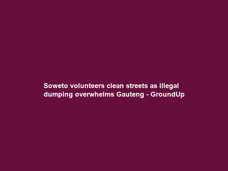 Soweto volunteers clean streets as illegal dumping overwhelms Gauteng – GroundUp