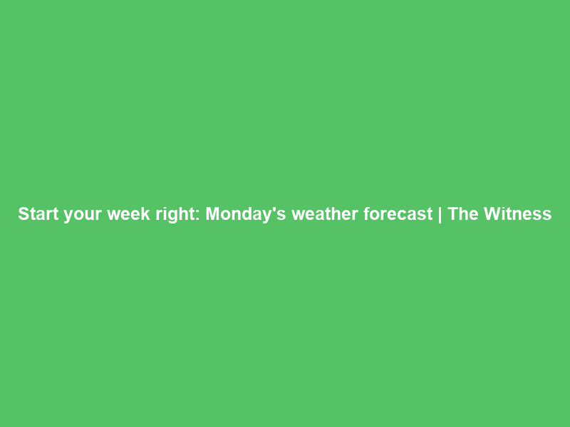 Start your week right: Monday’s weather forecast | The Witness