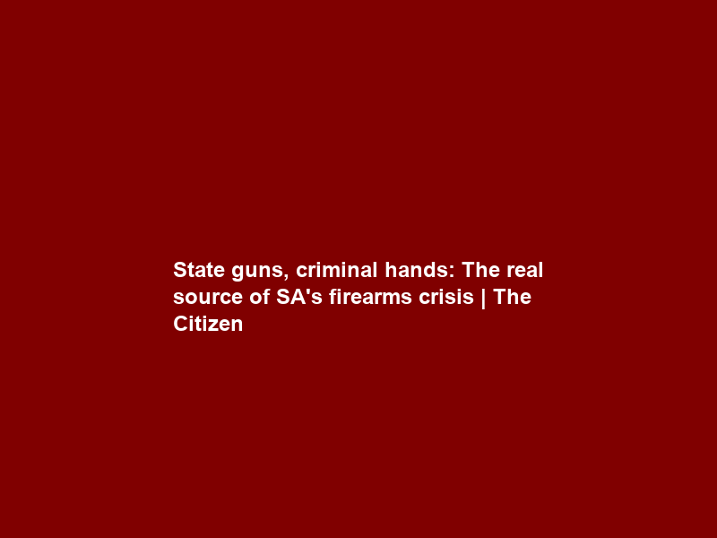 State guns, criminal hands: The real source of SA’s firearms crisis | The Citizen