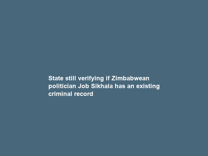 State still verifying if Zimbabwean politician Job Sikhala has an existing criminal record