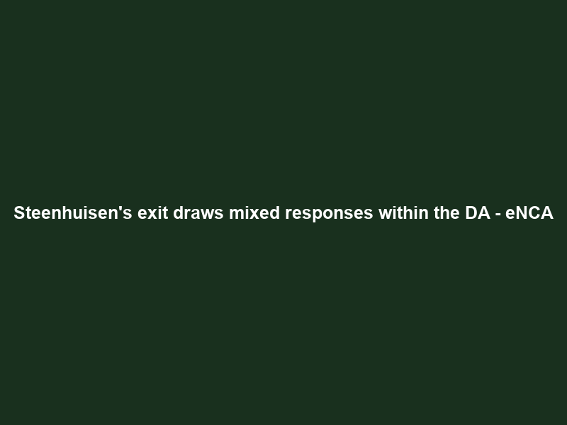 Steenhuisen’s exit draws mixed responses within the DA – eNCA