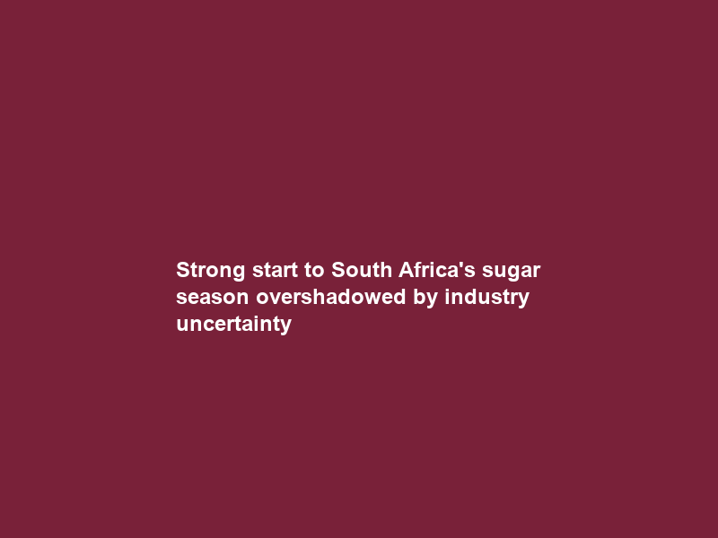 Strong start to South Africa’s sugar season overshadowed by industry uncertainty