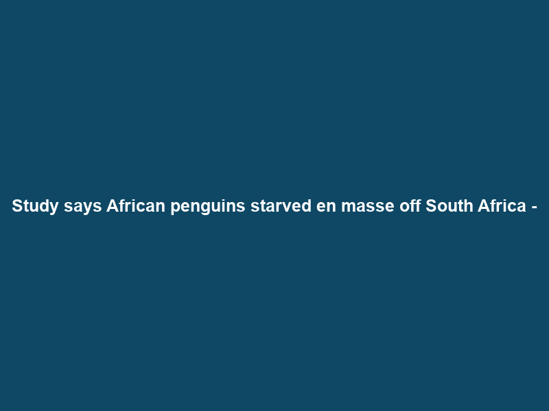 Study says African penguins starved en masse off South Africa –