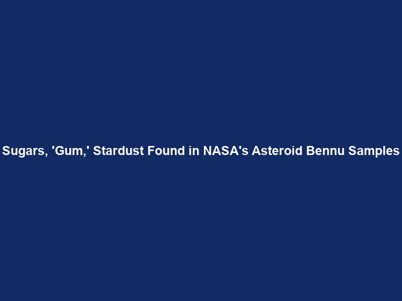 Sugars, ‘Gum,’ Stardust Found in NASA’s Asteroid Bennu Samples