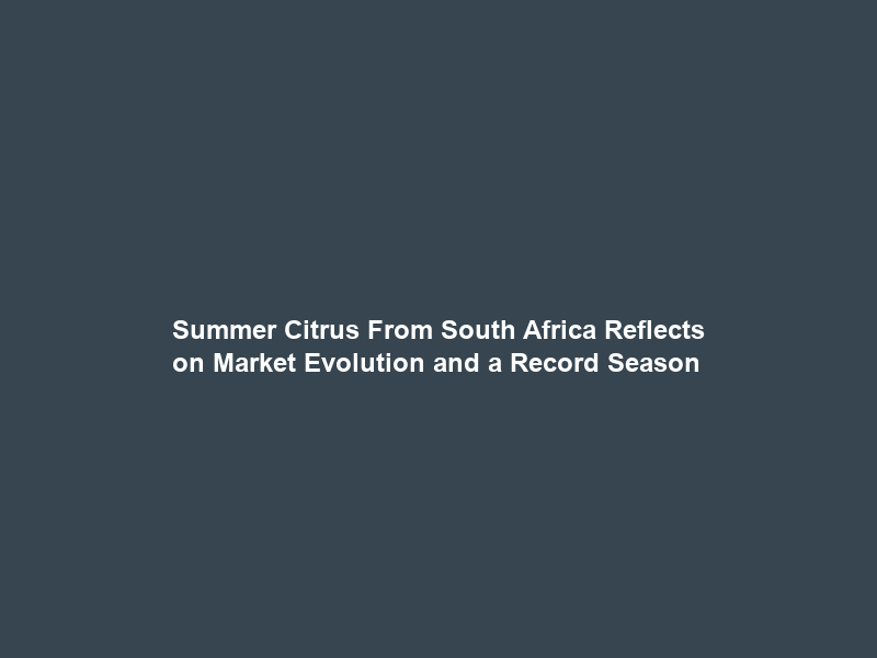 Summer Citrus From South Africa Reflects on Market Evolution and a Record Season