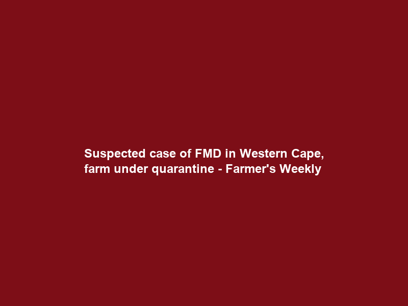 Suspected case of FMD in Western Cape, farm under quarantine – Farmer’s Weekly