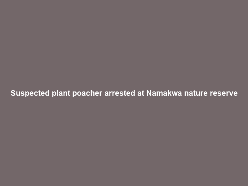Suspected plant poacher arrested at Namakwa nature reserve