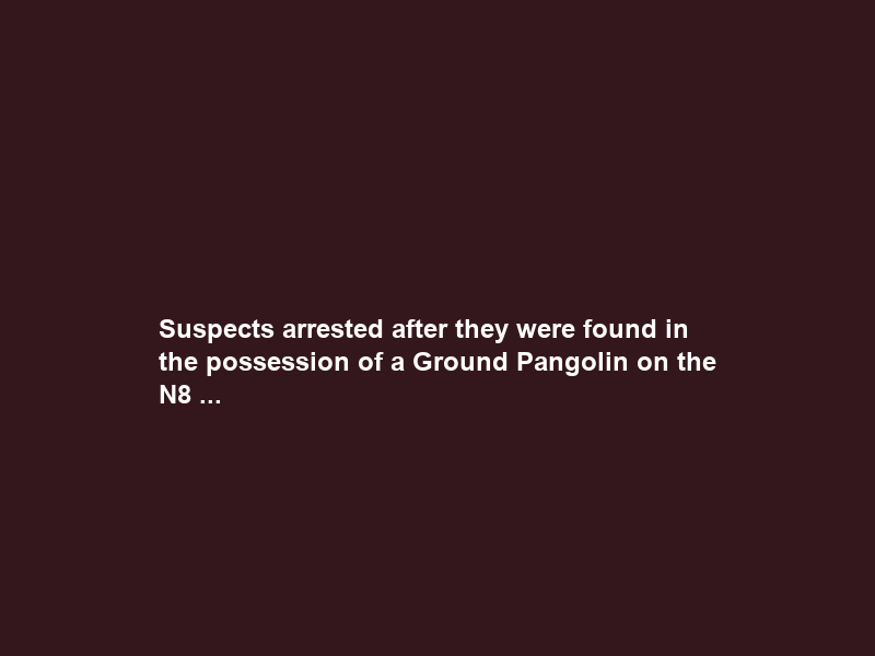 Suspects arrested after they were found in the possession of a Ground Pangolin on the N8 …