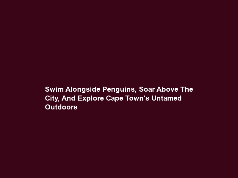 Swim Alongside Penguins, Soar Above The City, And Explore Cape Town’s Untamed Outdoors