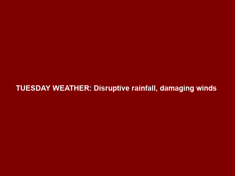TUESDAY WEATHER: Disruptive rainfall, damaging winds & waves, flooding – nine warnings issued