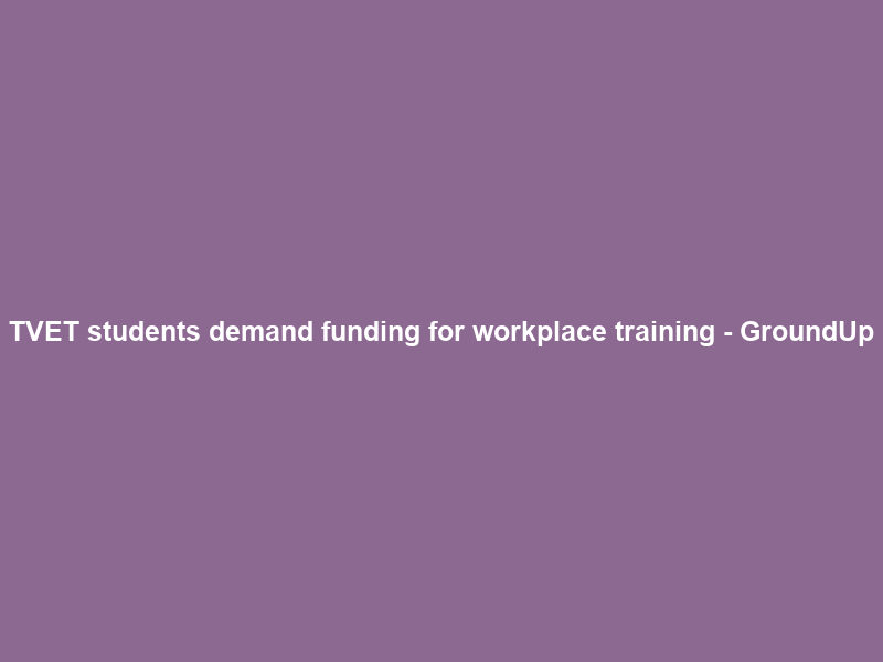 TVET students demand funding for workplace training – GroundUp