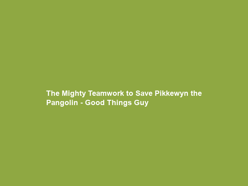 The Mighty Teamwork to Save Pikkewyn the Pangolin – Good Things Guy