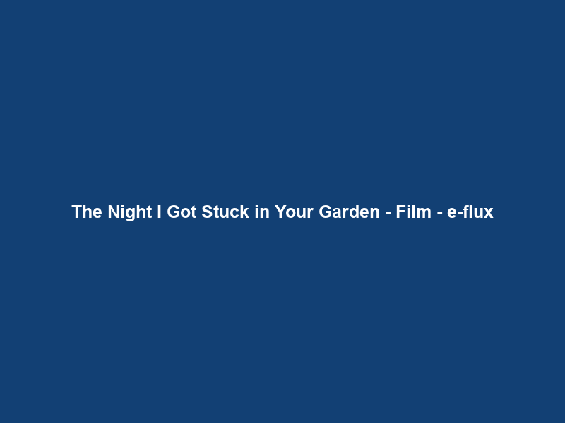 The Night I Got Stuck in Your Garden – Film – e-flux