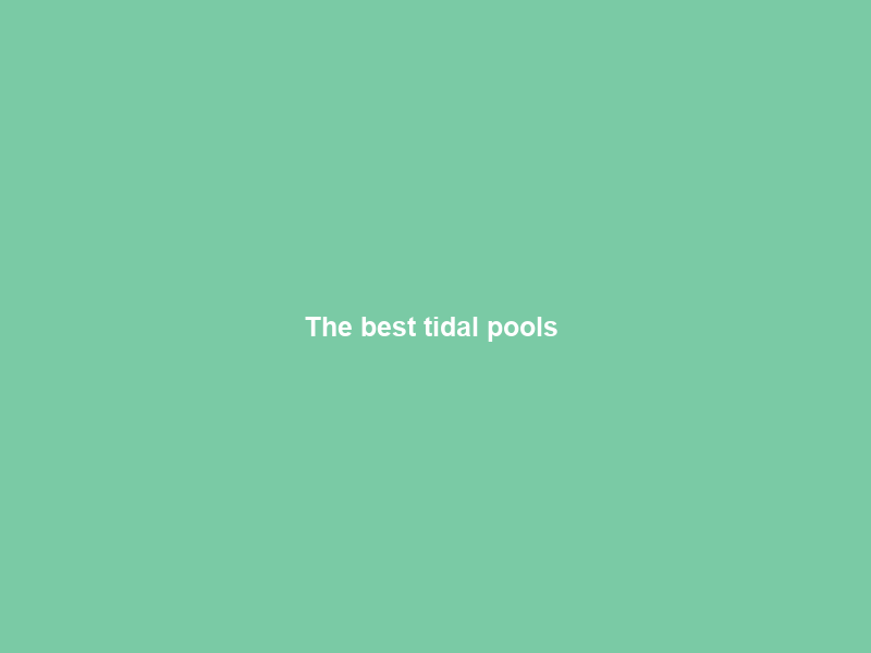 The best tidal pools & public pools for ocean-weary summer seekers – Getaway Magazine