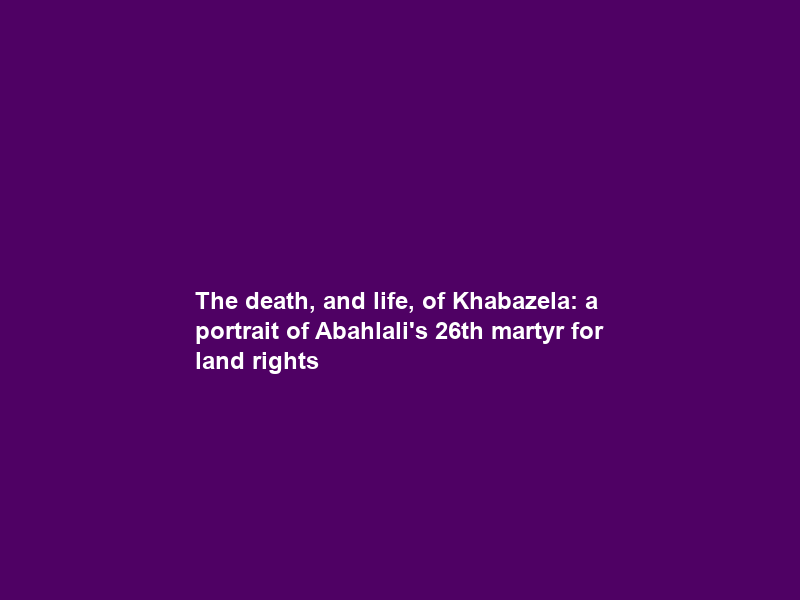 The death, and life, of Khabazela: a portrait of Abahlali’s 26th martyr for land rights