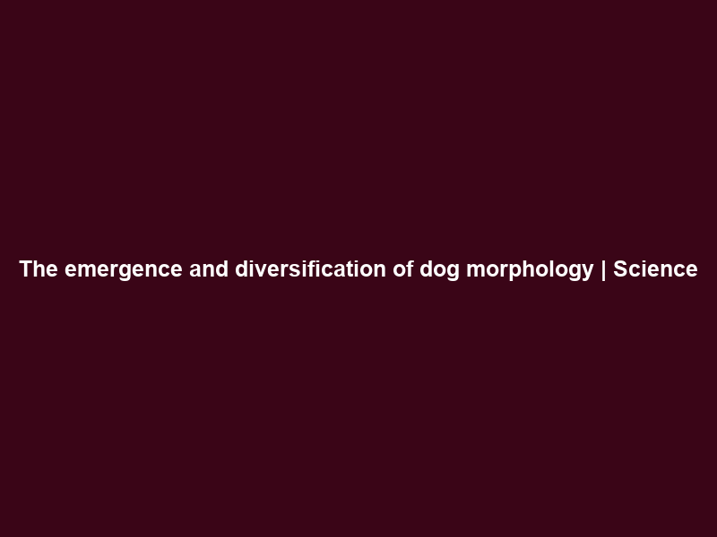 The emergence and diversification of dog morphology | Science