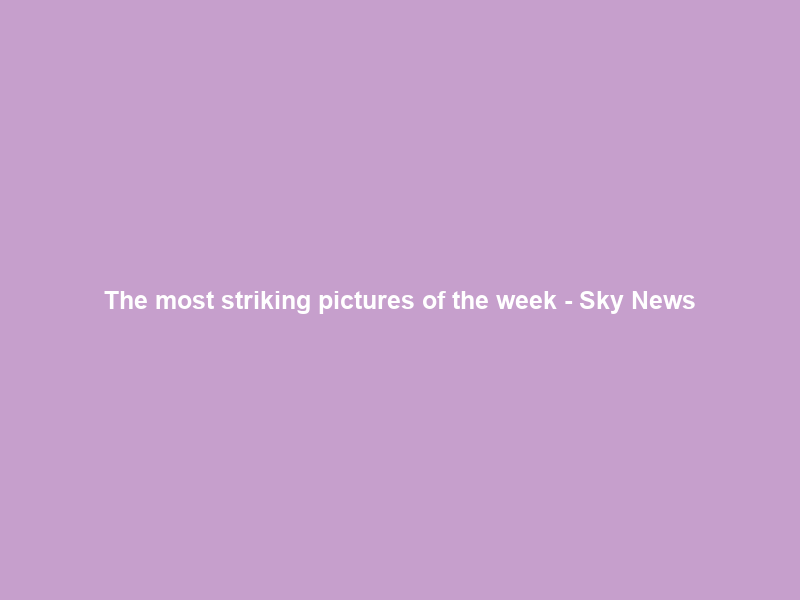 The most striking pictures of the week – Sky News