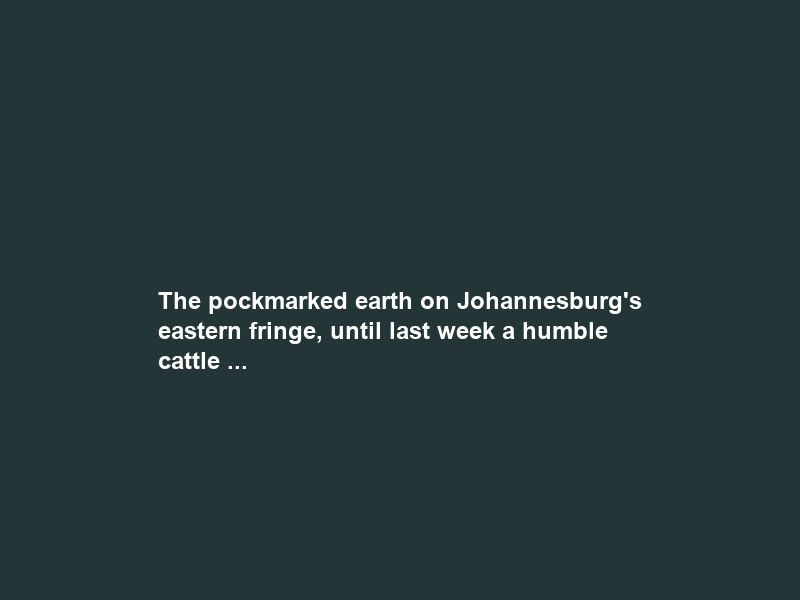 The pockmarked earth on Johannesburg’s eastern fringe, until last week a humble cattle …