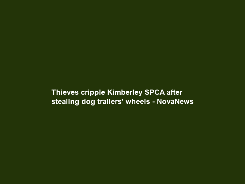 Thieves cripple Kimberley SPCA after stealing dog trailers’ wheels – NovaNews