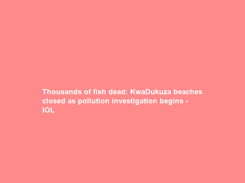 Thousands of fish dead: KwaDukuza beaches closed as pollution investigation begins – IOL