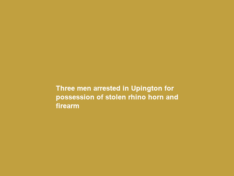 Three men arrested in Upington for possession of stolen rhino horn and firearm
