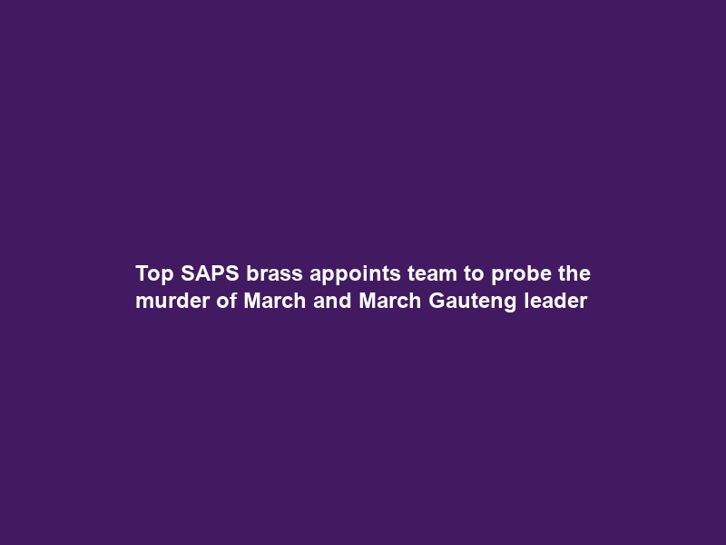 Top SAPS brass appoints team to probe the murder of March and March Gauteng leader