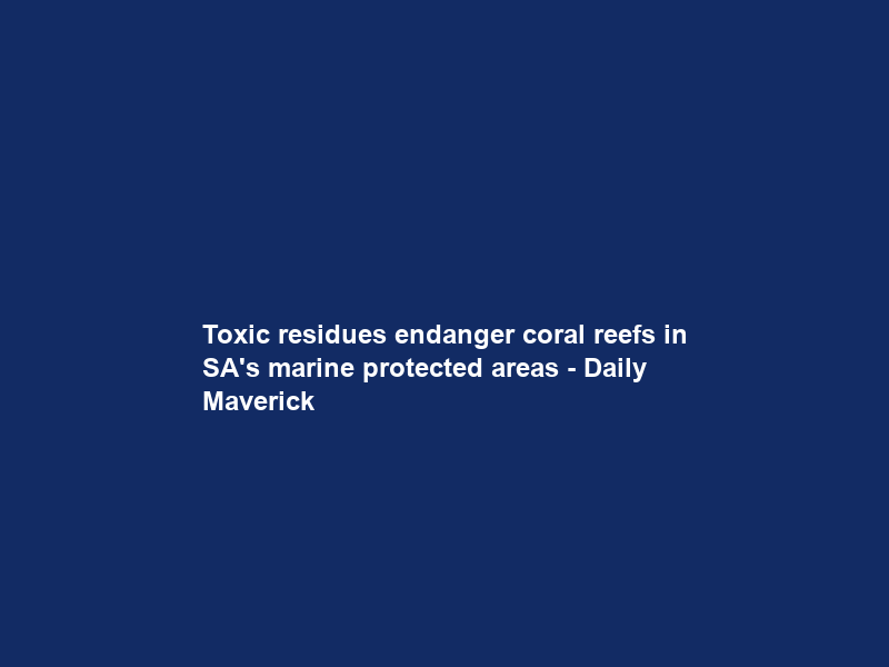 Toxic residues endanger coral reefs in SA’s marine protected areas – Daily Maverick